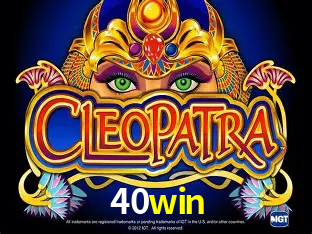 Cassino ao vivo com dealers reais na 40win